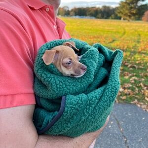 Meet your Posher, David